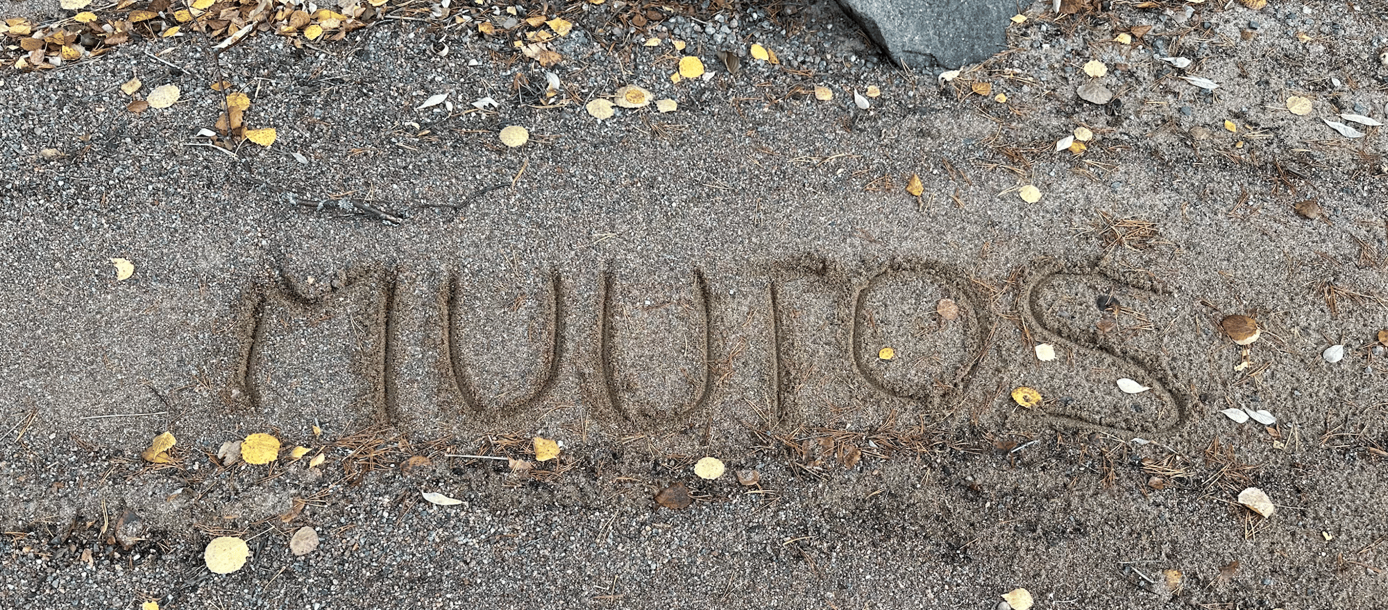 Näyttökuva 2025-09-27 kello 14.08.04 Näyttökuva 2025-09-27 kello 14.08.04