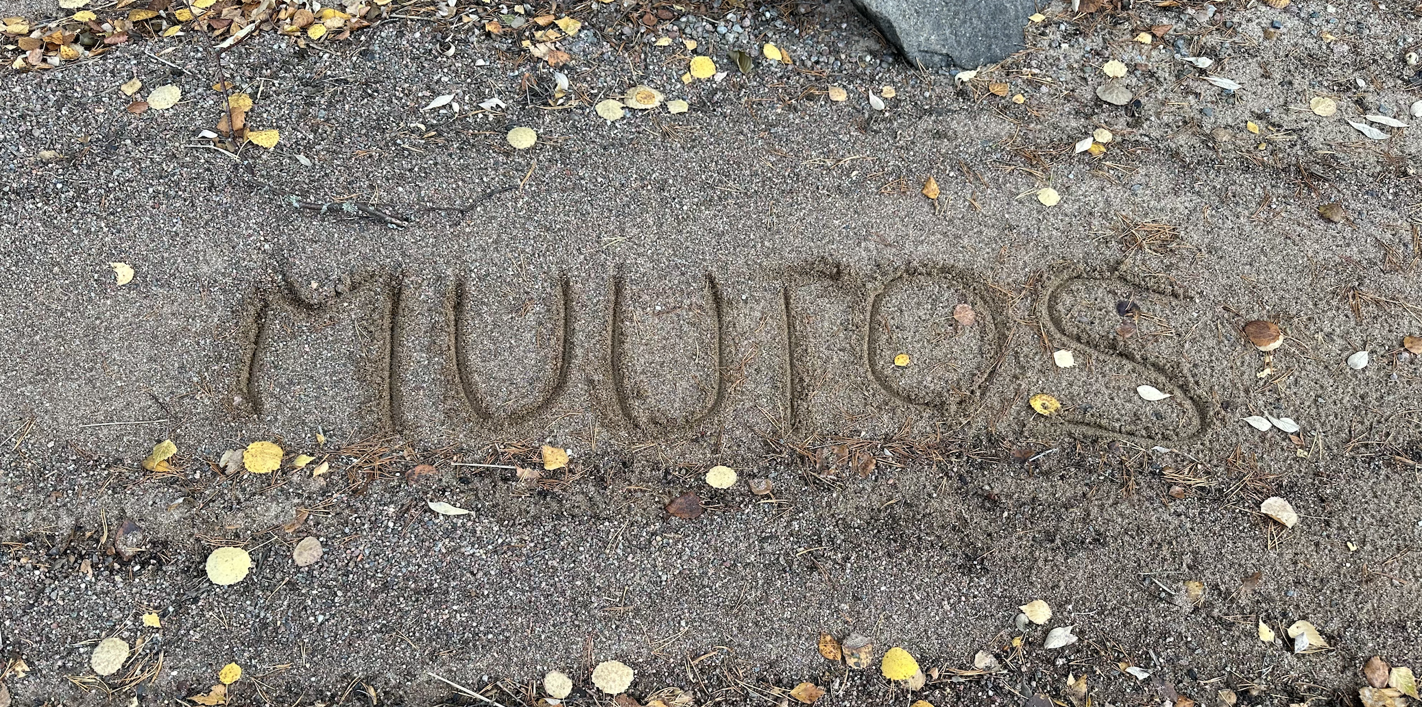 Näyttökuva 2025-09-27 kello 13.59.28