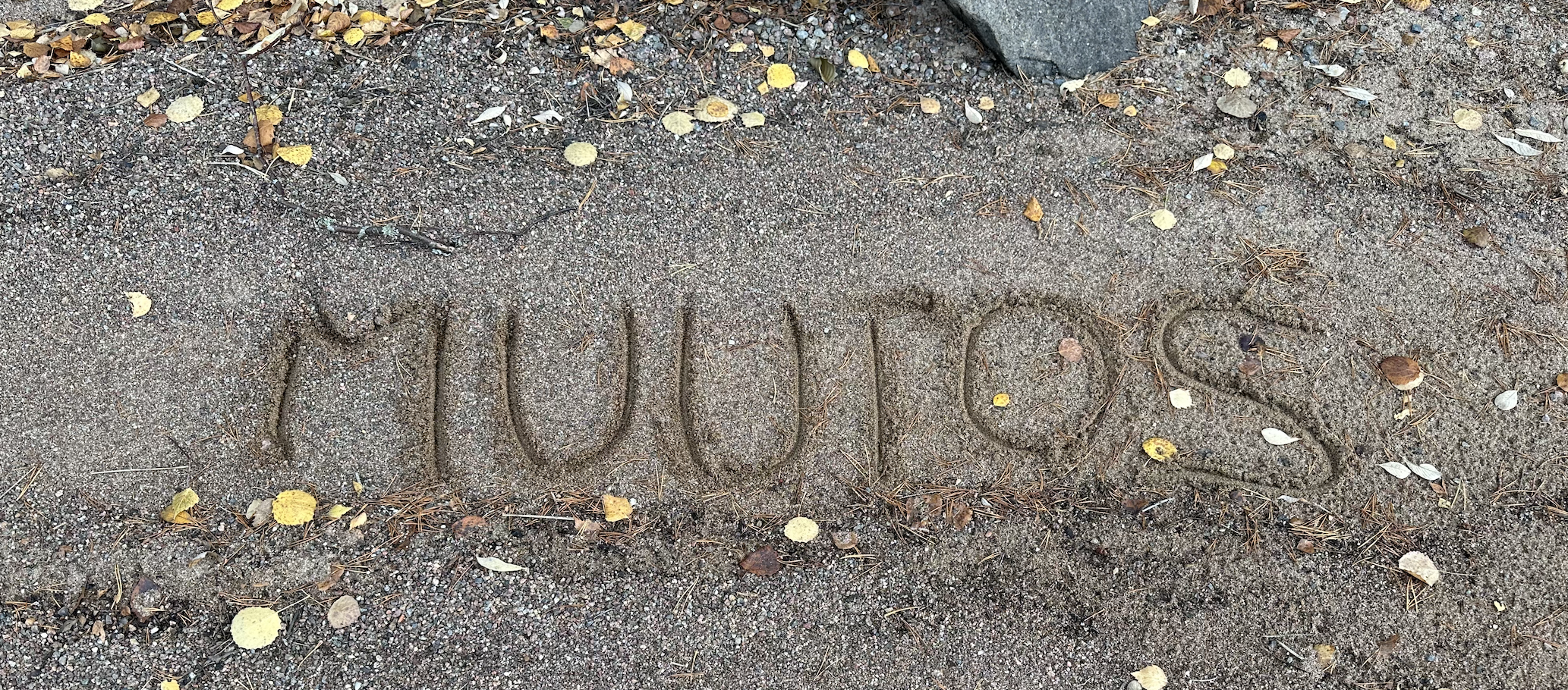Muutosjohtaminen